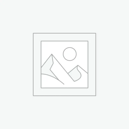 Women's Western Dresses